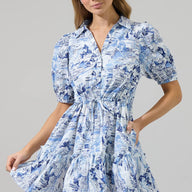Francine Toile Button Down Mini Dress