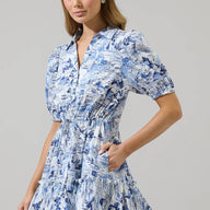Francine Toile Button Down Mini Dress