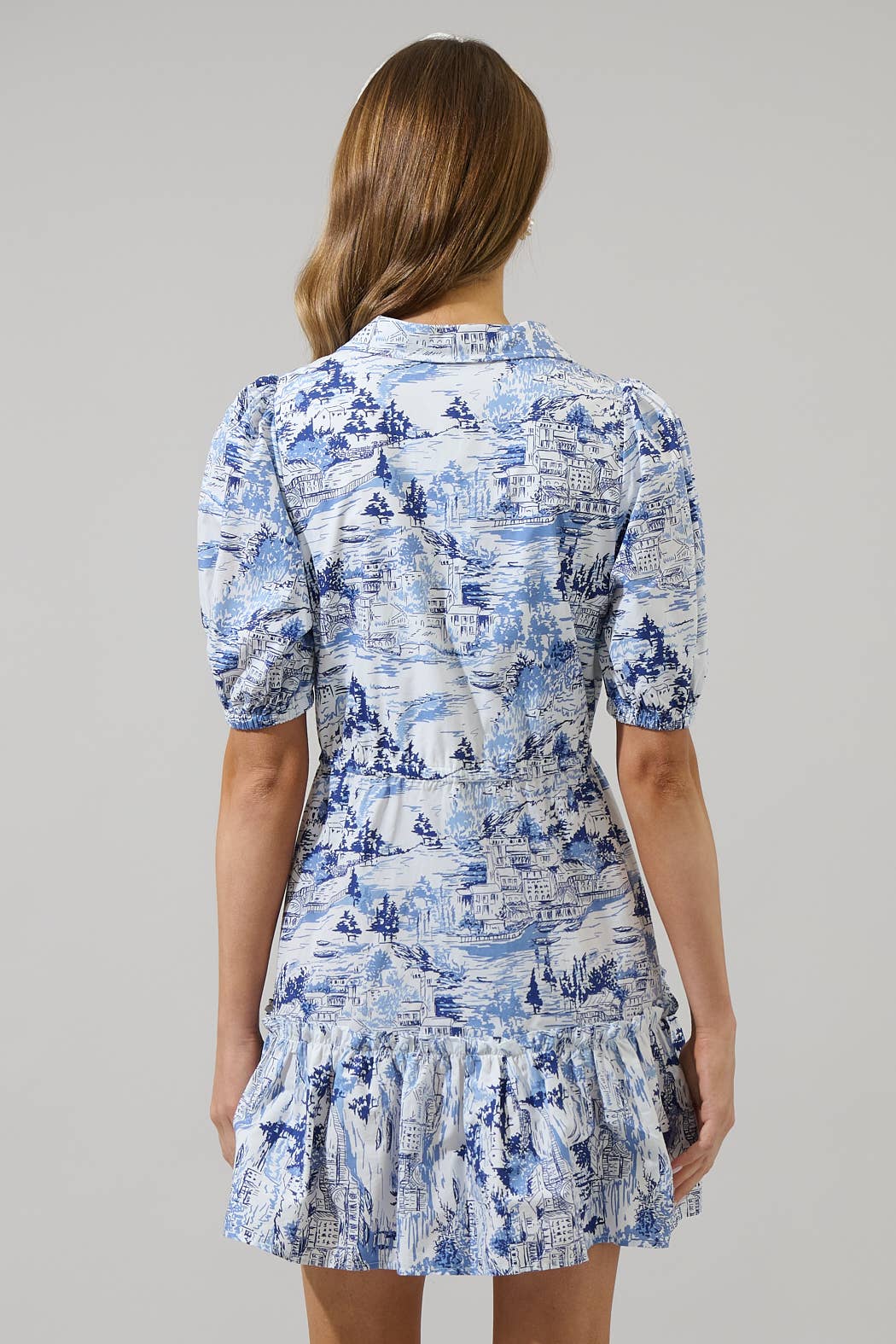 Francine Toile Button Down Mini Dress