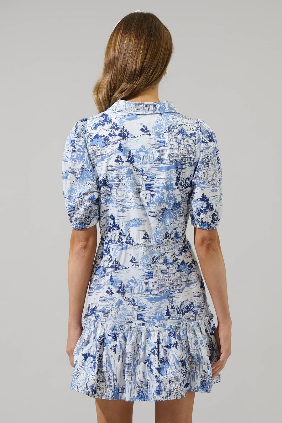 Francine Toile Button Down Mini Dress