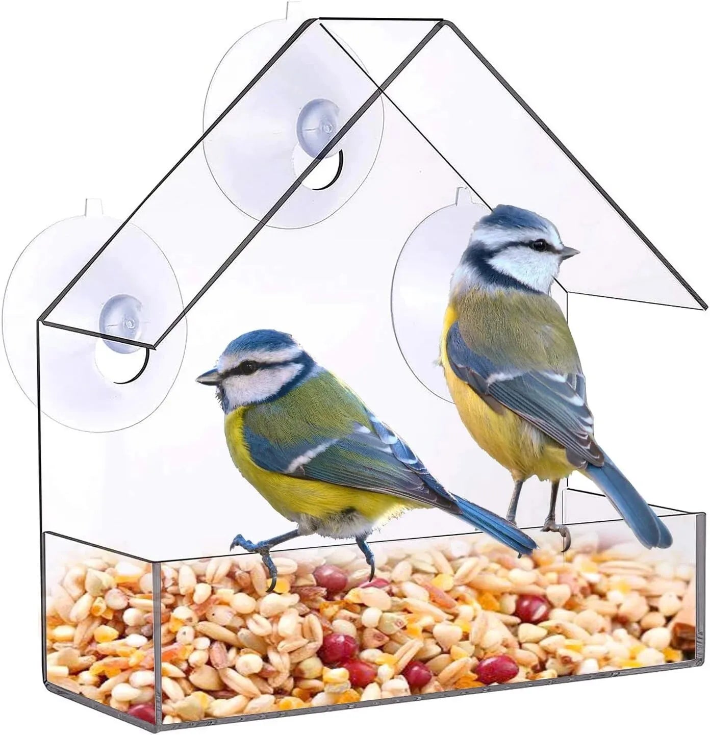 Acrylic Window Bird Feeder