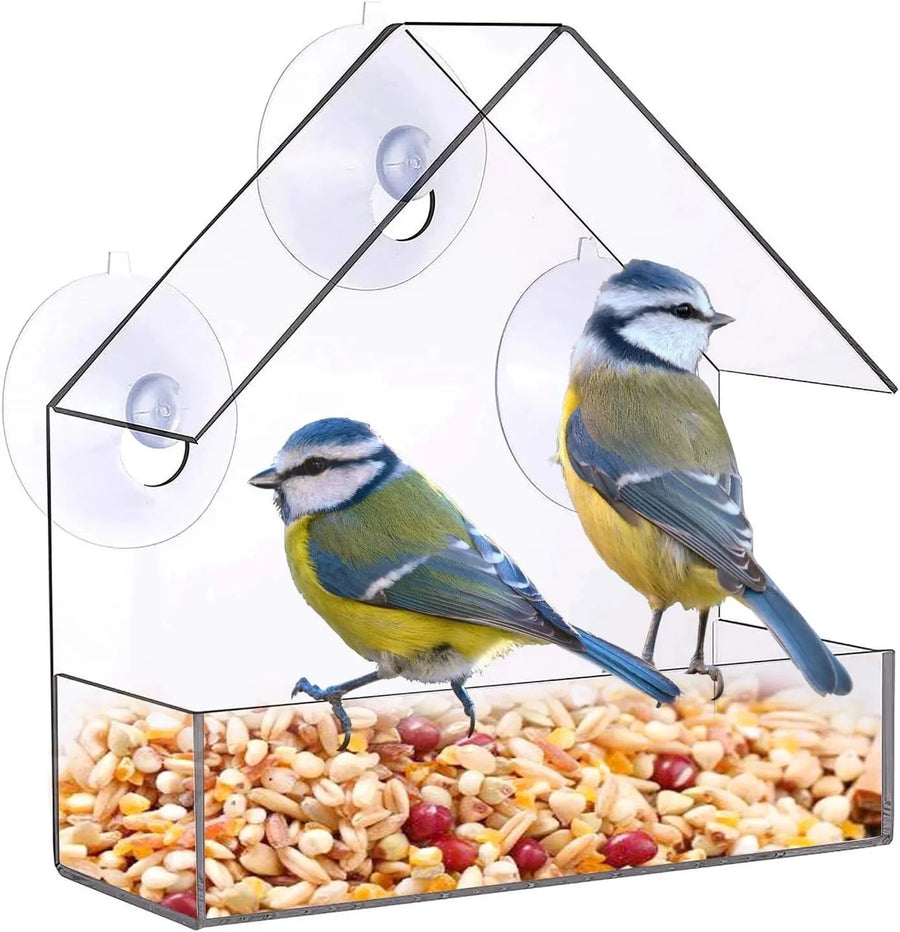 Acrylic Window Bird Feeder